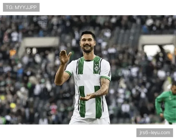 霍芬海姆球员表现出色，状态回暖助力球队士气高涨